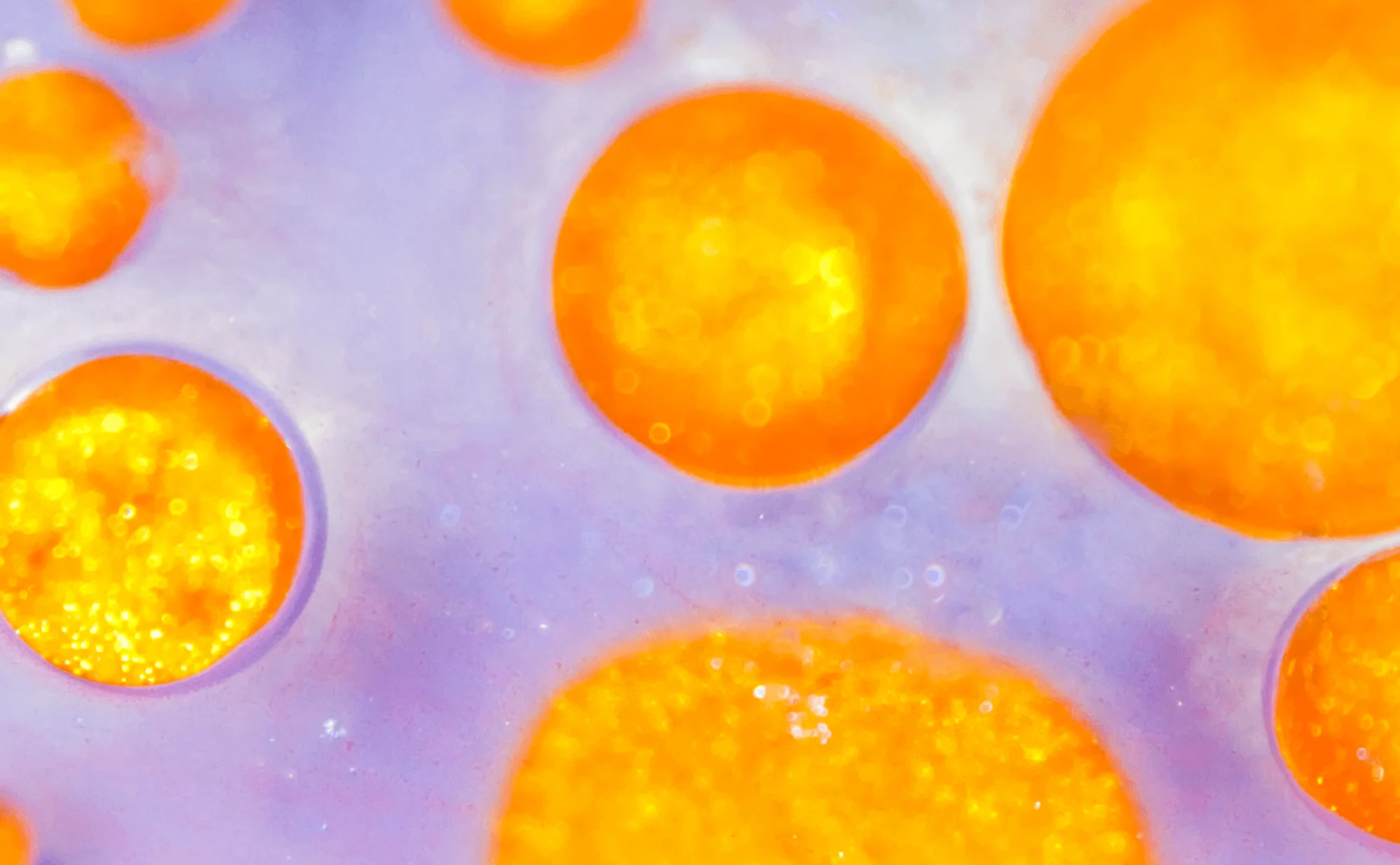 Gouttelettes de penture dorée miscibles dans un océan de pigment violet. Photographie, Microfluidic Poetry | Julien Ridouard, en collaboration avec Elveflow