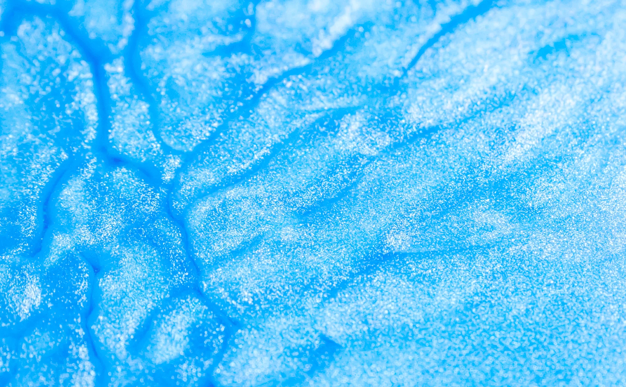 Pigment bleu océan avec des veines rétractables autogénérées. Photography, Microfluidic poetry | Julien Ridouard, en collaboration avec Elveflow