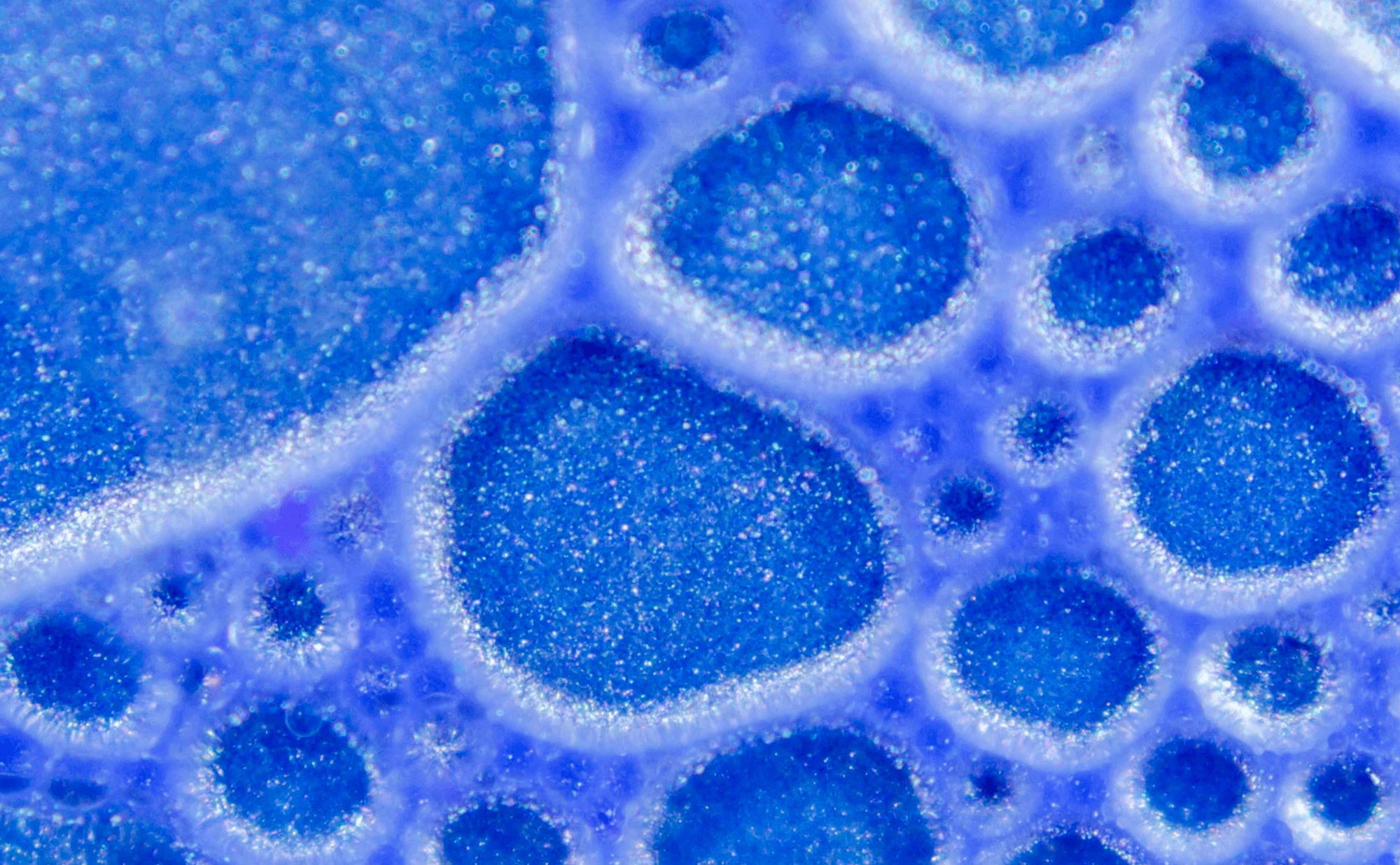 Maillage de gouttelettes transparentes dans un environnement de pigment bleu-violet. Photographie, Microfluidic poetry | Julien Ridouard, en collaboration avec Elveflow